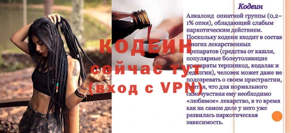2c-b Пестово