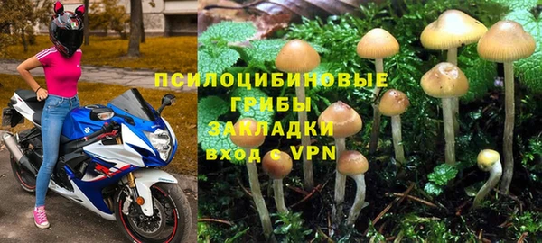 прущий лед Алексин