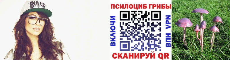Псилоцибиновые грибы Psilocybe  Чишмы 
